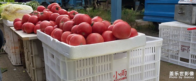 集市上的西紅柿