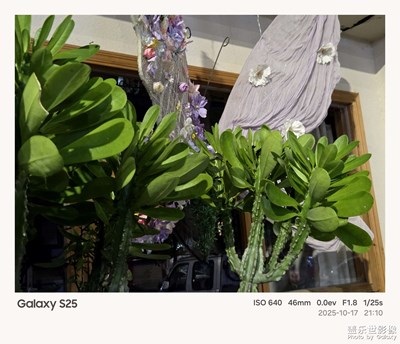 《故事》—用相框記錄的故事