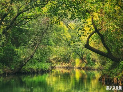 【秋日麗影】+西溪印象