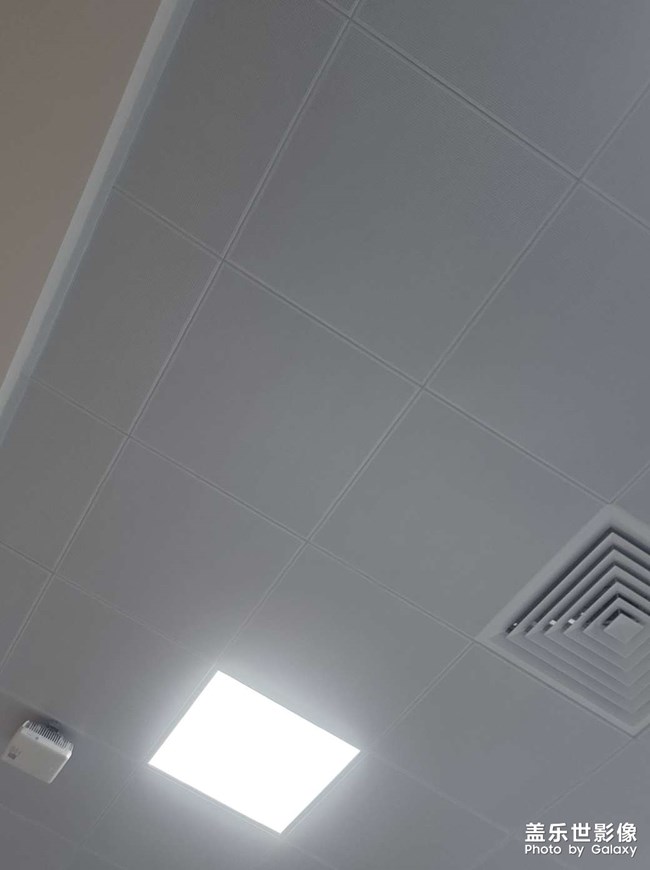 我把秘密告訴了花，花香吹滿了整個小巷