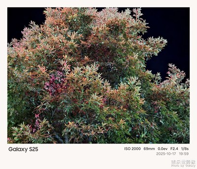 《夜生活》—用鏡頭框住塞博夜景