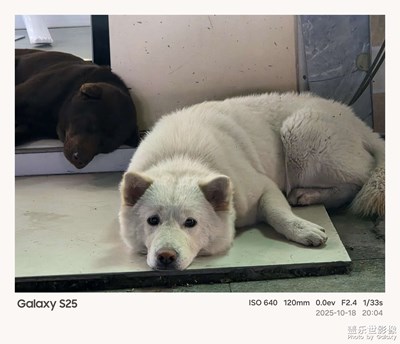 《節(jié)日盛景》—鏡框下的節(jié)假日