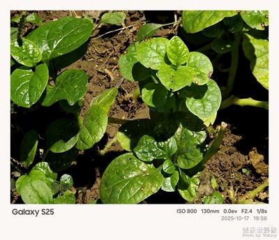 《夜生活》—用鏡頭框住塞博夜景