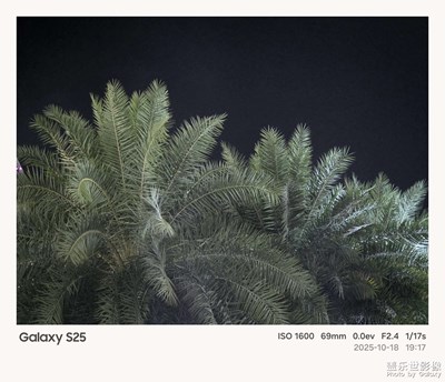 《我的視界》—我眼“框”里的世界