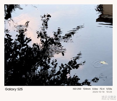 《我的視界》—我眼“框”里的世界