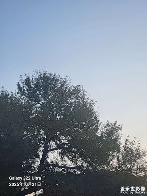 【秋日麗影】 秋風(fēng)瑟瑟