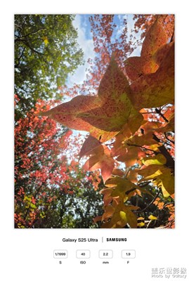 黑龍?zhí)豆珗@·秋