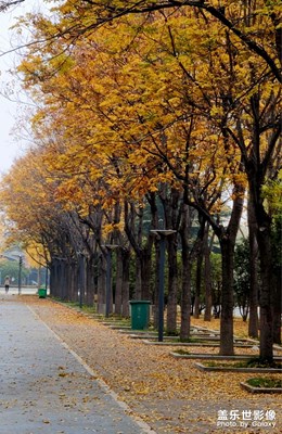 【城市生命力】+小縣城的秋