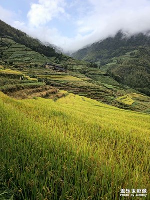 雨霽潤(rùn)龍脊