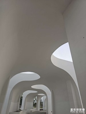 【城市生命力】+記憶