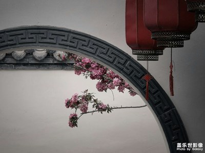 讓光陰入畫，園林的詩(shī)性留白與古樸閑趣