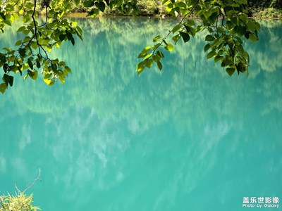 【拍有意境】+九寨溝