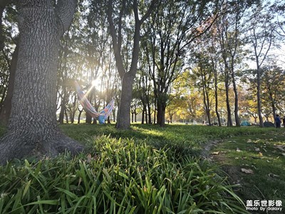 秋日.公園