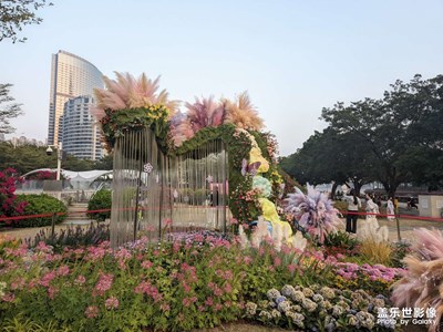 【初冬限定幀】+花城景色