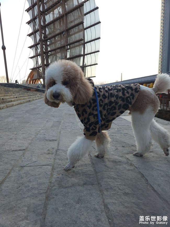 轉(zhuǎn)轉(zhuǎn)老碼頭