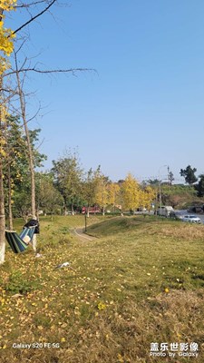 【順光逆光】+光影捕捉