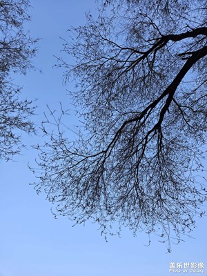 【時光留痕】2025的記憶