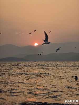 【時光留痕】我的2025