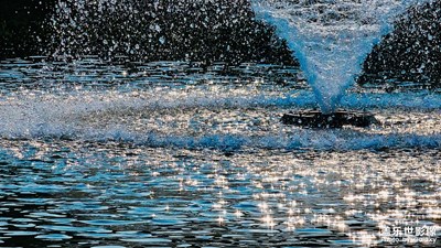 【換個角度看世界】這不是特效，是大自然的饋贈