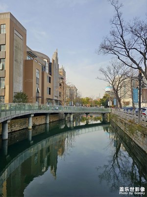 【不期而遇的美】路上的風(fēng)景