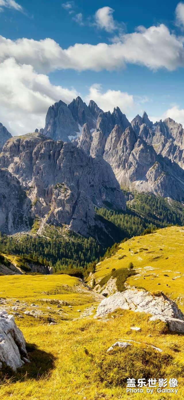 這趟旅行若算開心，亦是無負一生