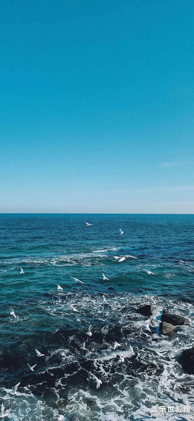 主動鍛煉自己，培養(yǎng)果決的性格