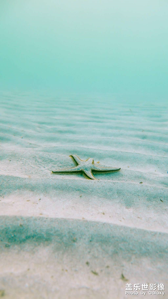 主動鍛煉自己，培養(yǎng)果決的性格