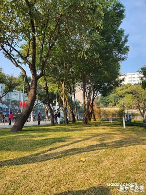 【靚影迎春】早晨廣場(chǎng)