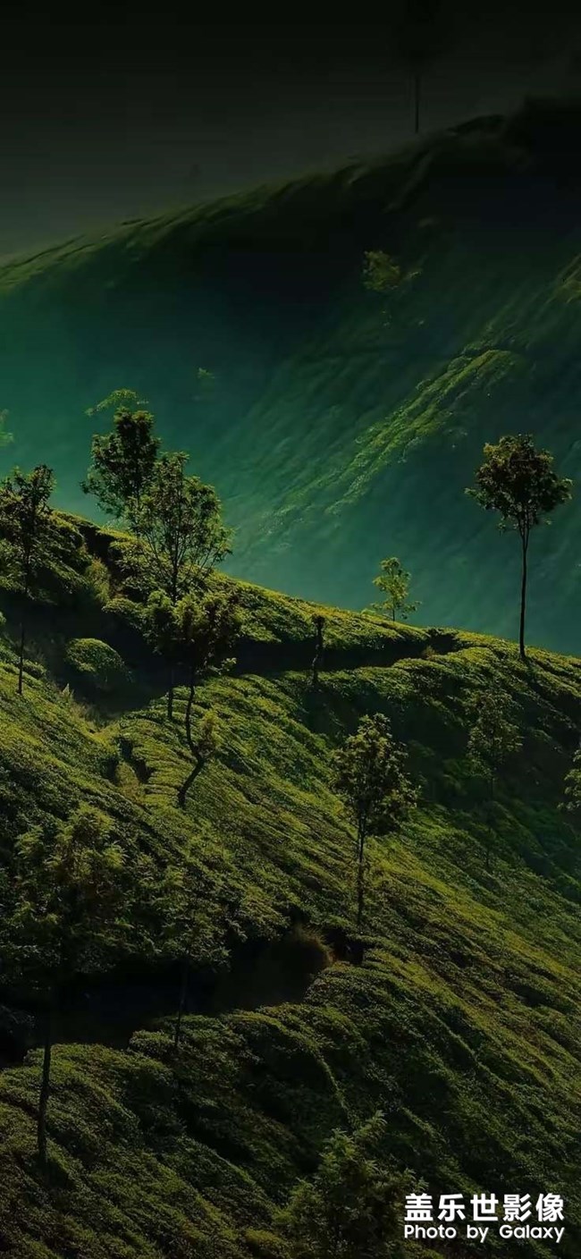 運(yùn)動(dòng)最痛苦的不是運(yùn)動(dòng)本身，而是決定要不要去運(yùn)動(dòng)這個(gè)過(guò)程