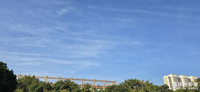 最后一個(gè)工作日