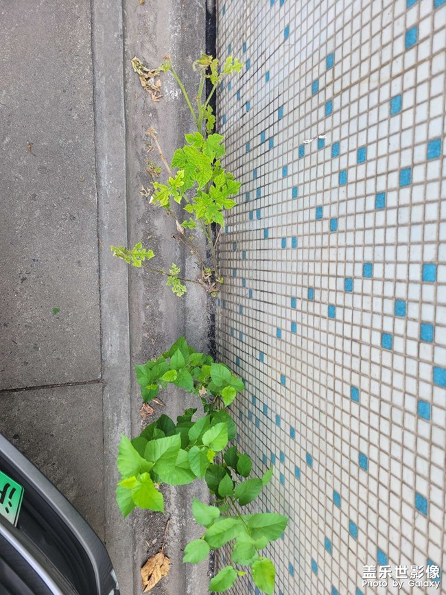 有沒(méi)有什么辦法徹底搞定