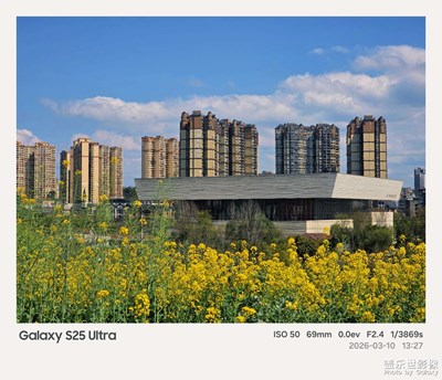 故事里的小黃花，開(kāi)遍了城市的街頭巷尾