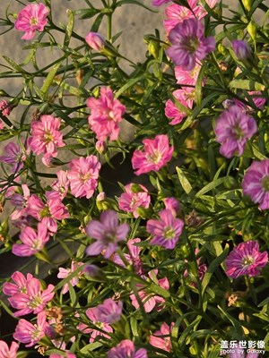 南方的三月。。。。。。