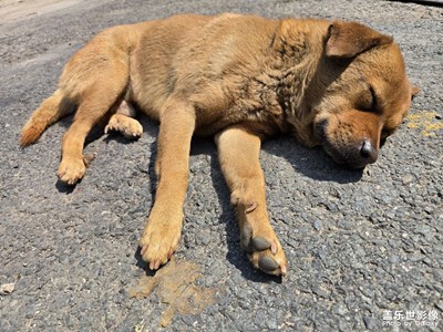 【人間三月】陽光明媚的三月