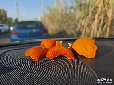 【春光里】+隨便拍的