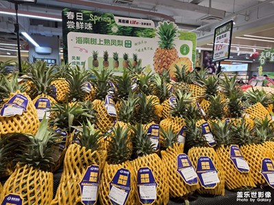 新手機(jī)，必須發(fā)張照片留念