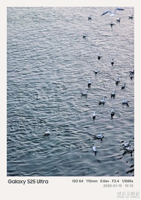 寫信告訴你今天長江是霧藍(lán)色的