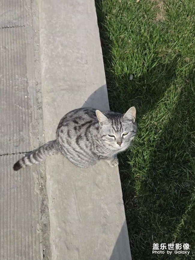 老大你怎么這么高