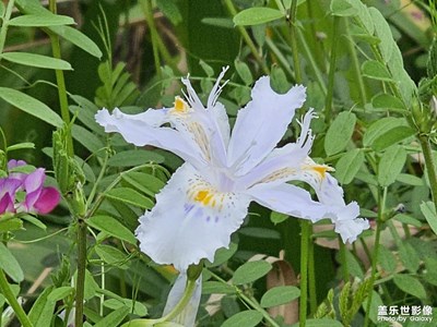 【細(xì)微之處】微觀世界