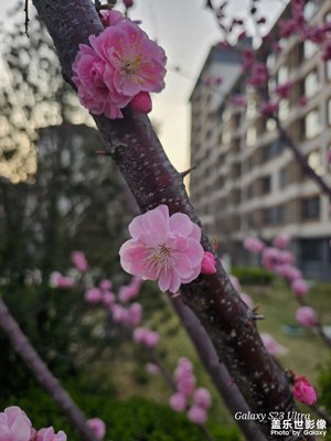 【細(xì)微之處】+近距離接觸