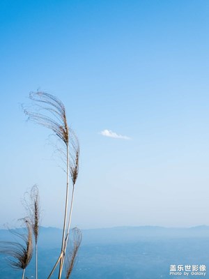 S23 Ultra｜手機攝影下的蜀南竹海（1）