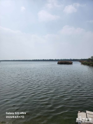 【聚焦四月】 水邊隨拍