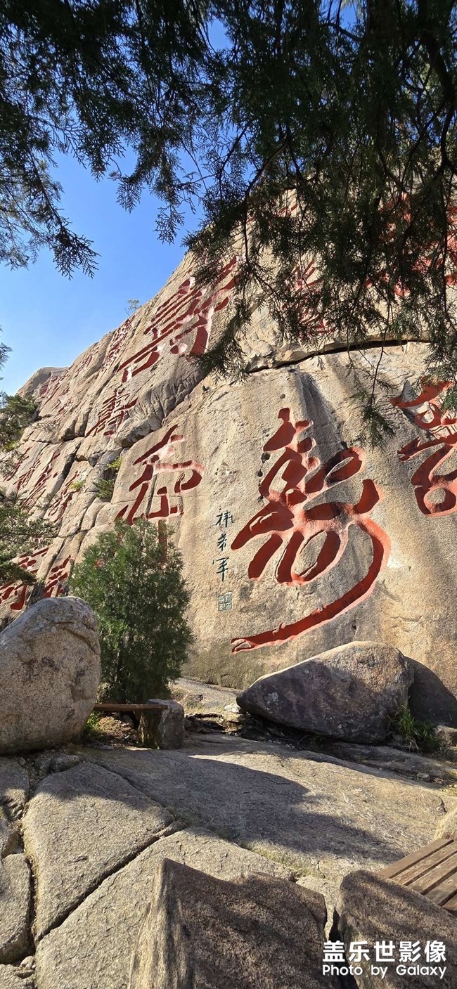 隨手拍