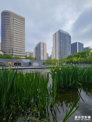 【城市映像】春日暖陽下的嘉定新城