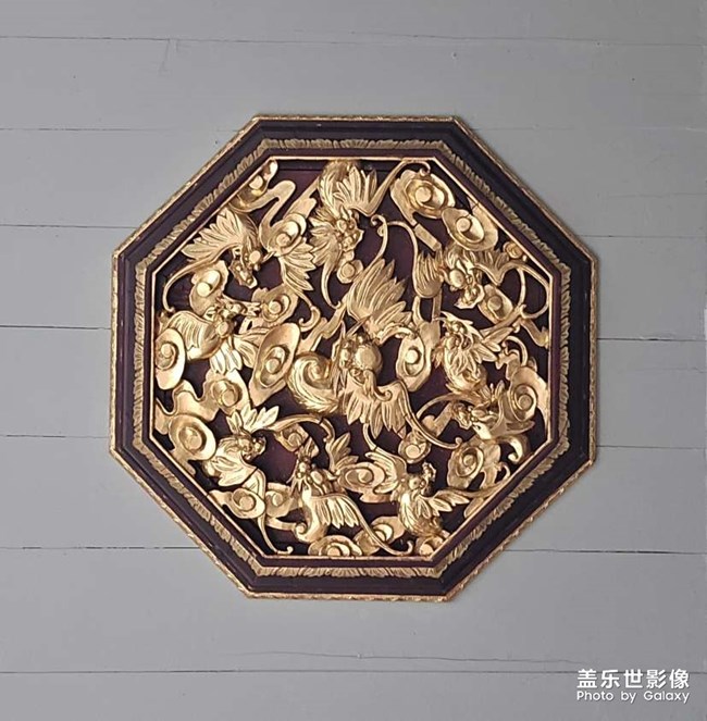 隨手拍