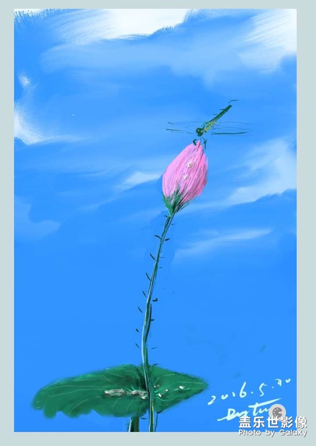 蓮，三星spen繪畫