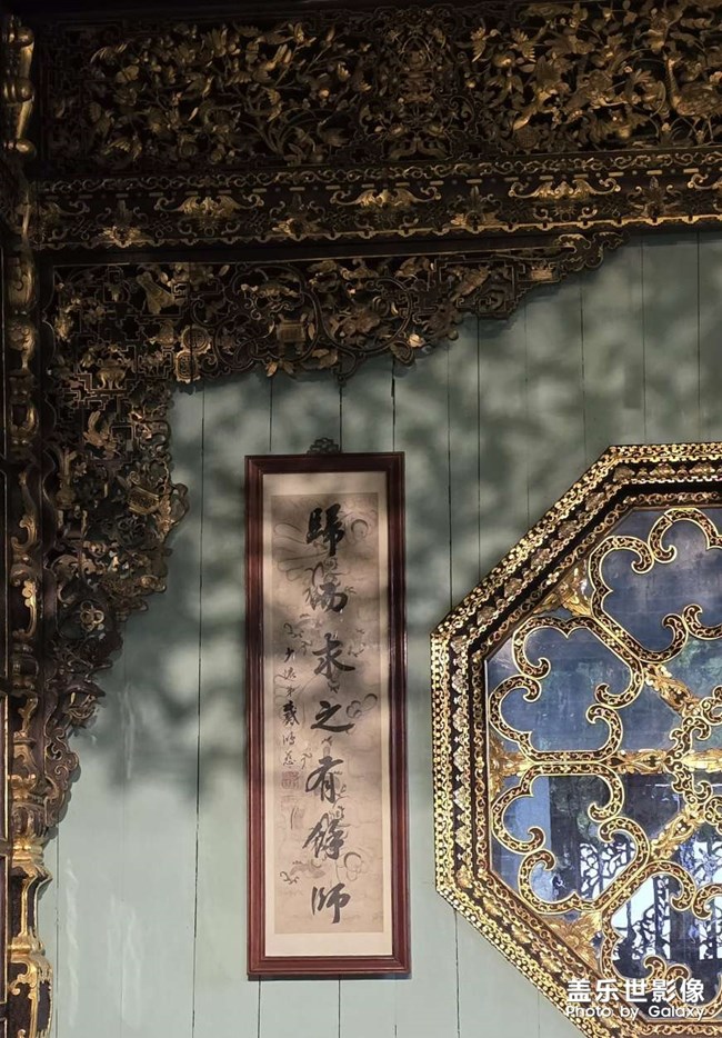 隨手拍