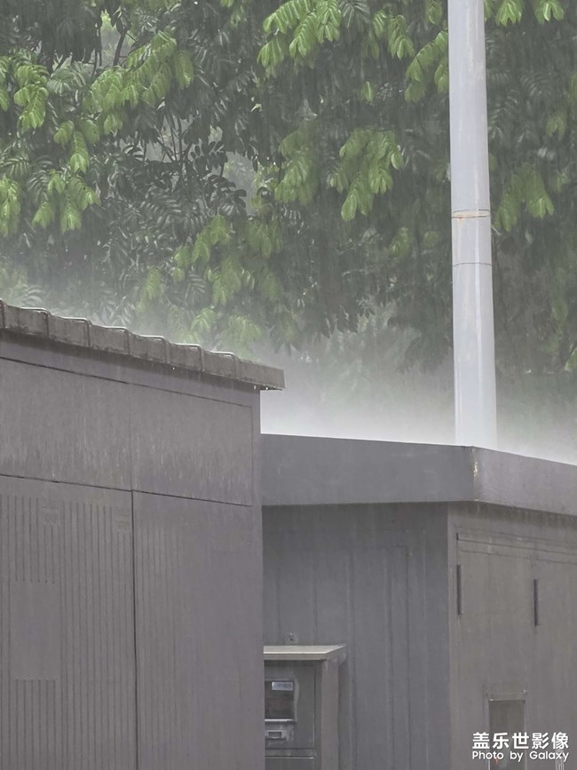 大雨