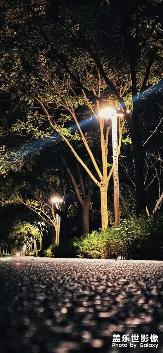 夜晚的碧沙崗