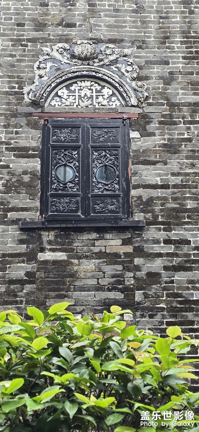 隨手拍